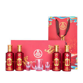 五粮液股份 五味人生(2019年)  浓香型  45度 145ml*4瓶小酒版 礼盒装