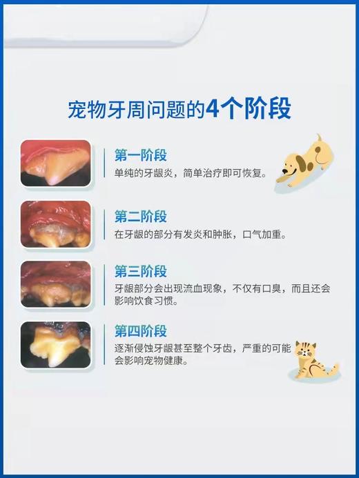 维克复合酶牙膏猫犬通用鸡肉味免洗宠物去口臭牙结石70g 商品图3