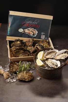 【12只现货装】嘉宝丽(白珍珠)生蚝 (Gaboriau)