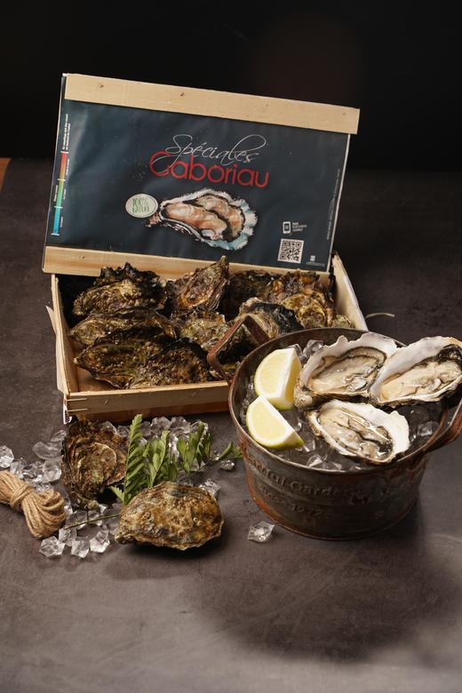 【12只现货装】嘉宝丽(白珍珠)生蚝 (Gaboriau) 商品图0
