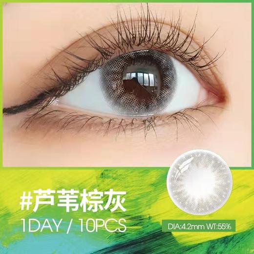 美目希日抛10片装-（黎明雾棕，芦苇棕灰） 商品图3