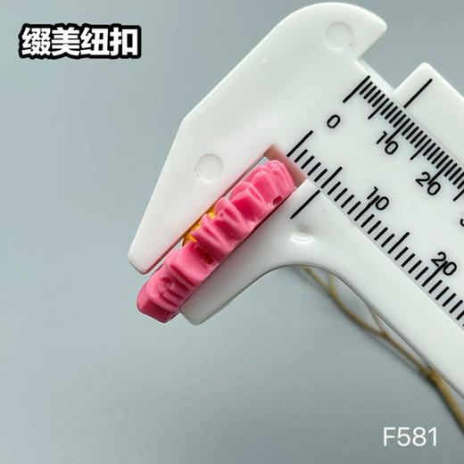 F581(整包购买) 商品图11