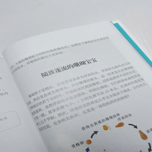 海底热带雨林珊瑚礁 商品图2