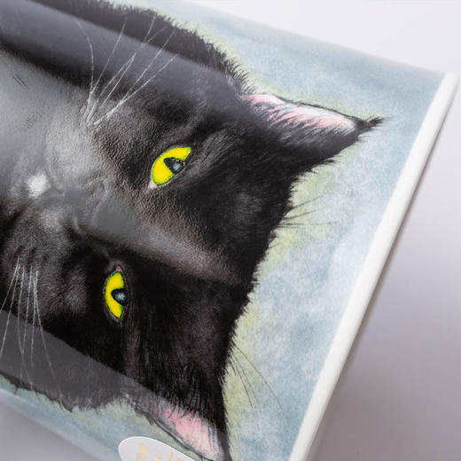 英国丹侬DUNOON骨瓷创意马克杯水杯喵星人 商品图11