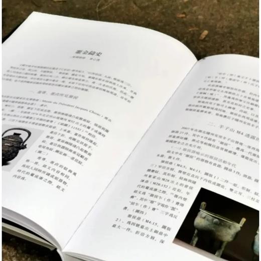 《汉淮传奇：噩国青铜器精粹》，大16开 商品图2