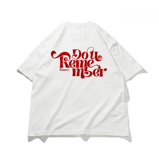 EAFINETAL.2021SS新款字母植绒印花复古图案纯棉休闲宽松短袖T恤 商品图4