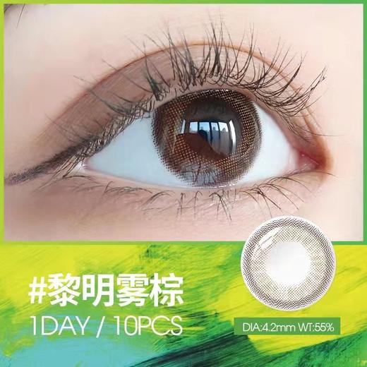 美目希日抛10片装-（黎明雾棕，芦苇棕灰） 商品图2