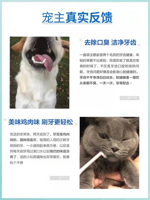 维克复合酶牙膏猫犬通用鸡肉味免洗宠物去口臭牙结石70g 商品图1
