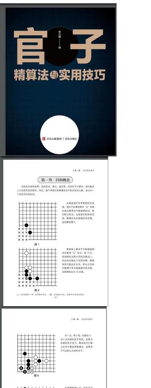 围棋官子精算法与实用技巧 商品图1