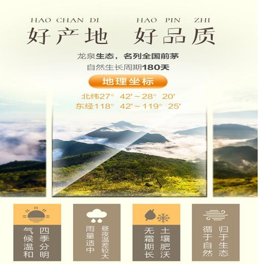 龙泉山香菇500g 商品图5