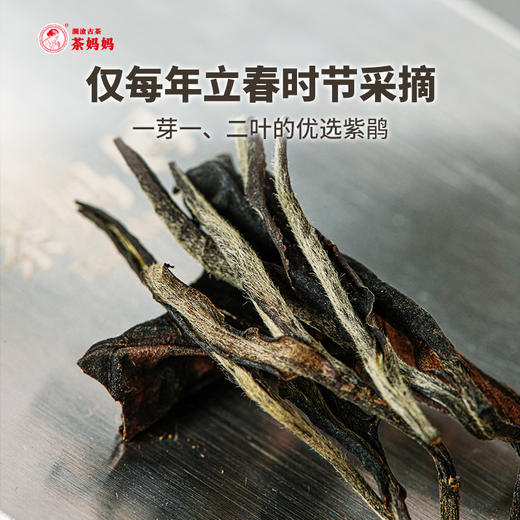 澜沧古茶2021年茶妈妈紫墨白玉白茶紫鹃茶云南茶叶礼盒罐装100g 商品图3
