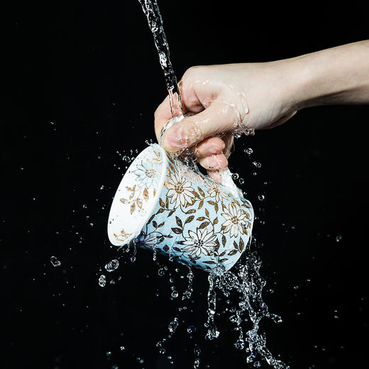 英国原产丹侬DUNOON骨瓷马克杯水杯小花系列 商品图3