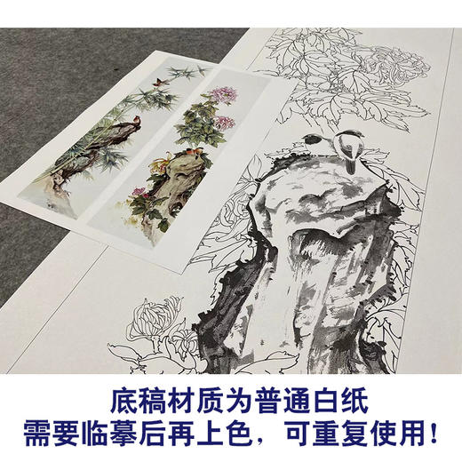 【四条屏】陈军工笔画白描底稿桃花树临摹勾线花鸟线稿CJ68 商品图3