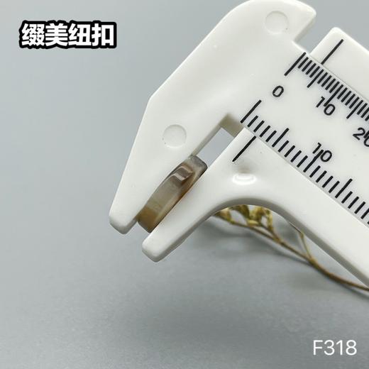 F318(整包购买) 商品图5