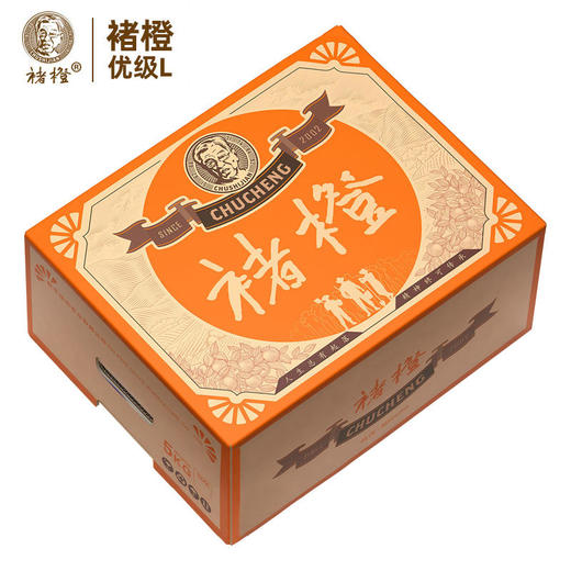 预售 | 2021褚橙 新鲜水果冰糖橙L号5kg礼盒装10斤[福利品] 商品图0