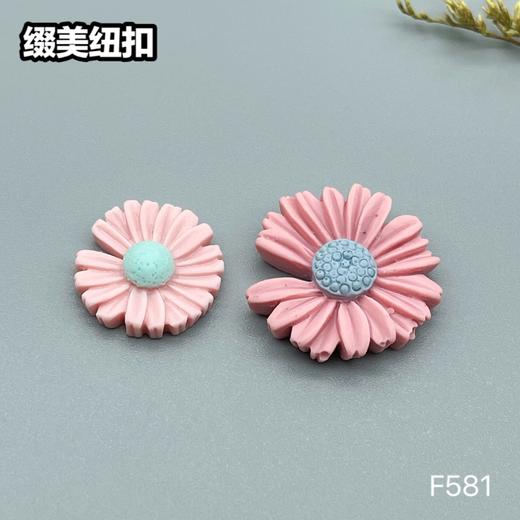 F581(整包购买) 商品图6