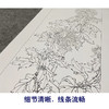 【四条屏】陈军工笔花鸟画白描底稿竹子临摹勾线花鸟线稿CJ69 商品缩略图4