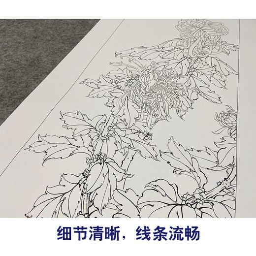 【四条屏】陈军工笔花鸟画白描底稿竹子临摹勾线花鸟线稿CJ69 商品图4