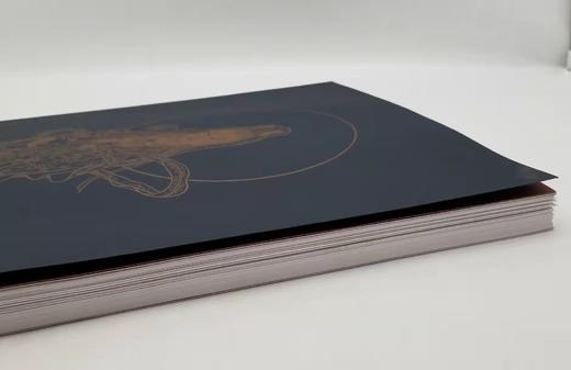 《弘一大师观音画集》，盒装散页，568mm*350mm 商品图4