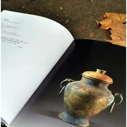 《汉淮传奇：噩国青铜器精粹》，大16开 商品图5