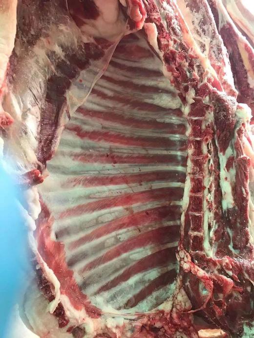 羊羔肉 商品图0