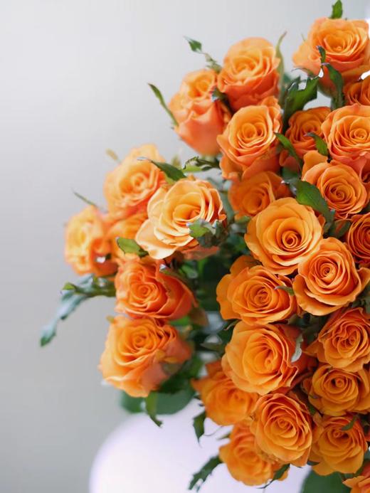 【周四秒杀】辉煌玫瑰一份15枝 59.8元 商品图2