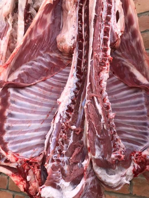 羊羔肉 商品图3