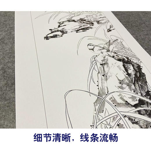 【四条屏】陈军工笔画白描底稿桃花树临摹勾线花鸟线稿CJ68 商品图4