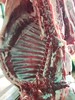 羊羔肉 商品缩略图1