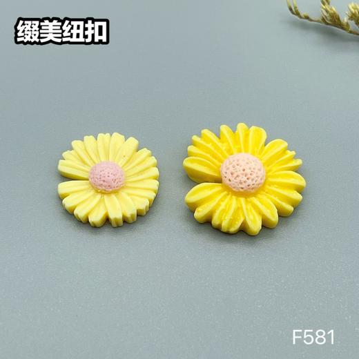 F581(整包购买) 商品图3