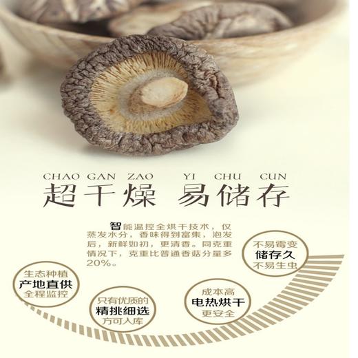 龙泉山香菇500g 商品图4