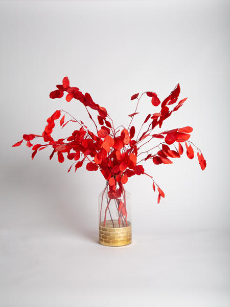 金底瓶 商品图1