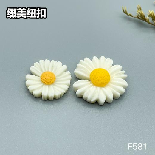 F581(整包购买) 商品图2