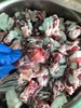 羊羔肉 商品缩略图5