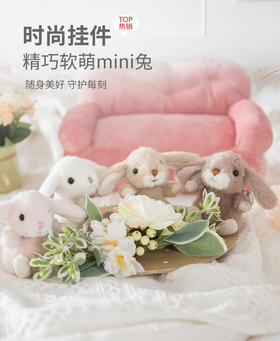 伽百利黛比挂件W2009A毛绒玩具公仔睡觉抱枕安抚陪伴玩偶男孩女孩礼物小兔子系列挂饰