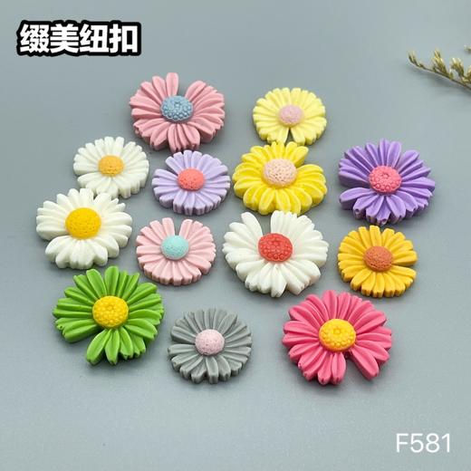 F581(整包购买) 商品图8