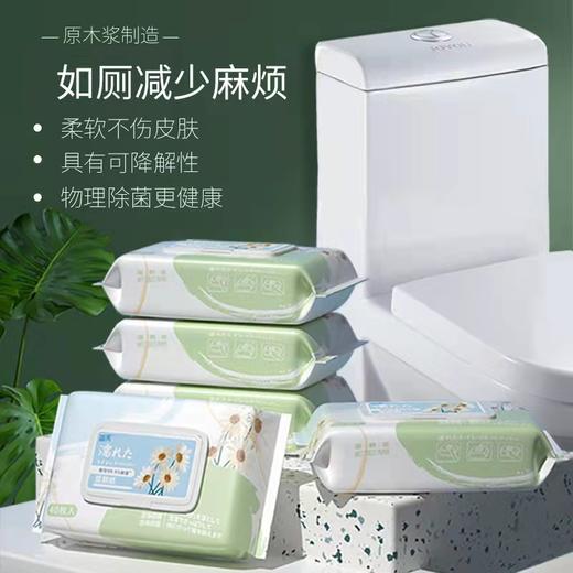 【化学“0”添加 分解更健康】40抽便捷携带如厕纸湿厕纸湿巾私处护理洁阴湿巾成人卫生湿巾纸 商品图0