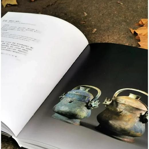 《汉淮传奇：噩国青铜器精粹》，大16开 商品图4