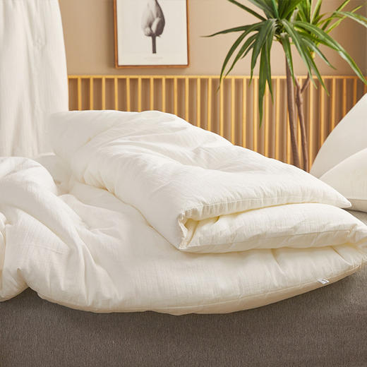 【官方正品】A类日織西川纯棉冬被子加厚保暖春秋被芯全棉35%大豆 商品图6