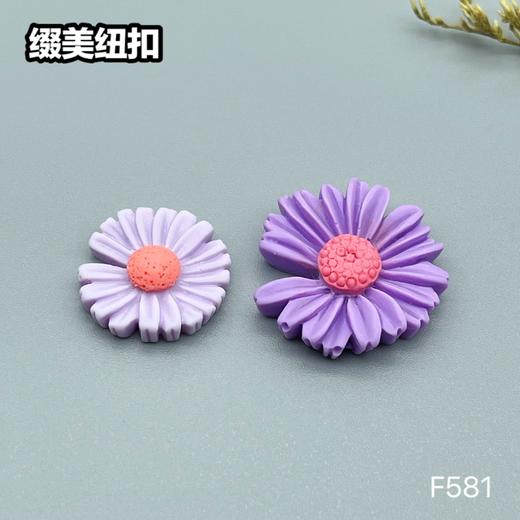 F581(整包购买) 商品图5