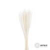 永生花材 ｜ 麒麟草白 商品缩略图0