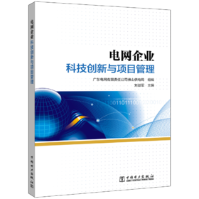 电力企业科技创新与项目管理