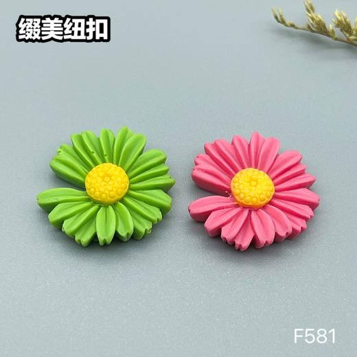 F581(整包购买) 商品图7