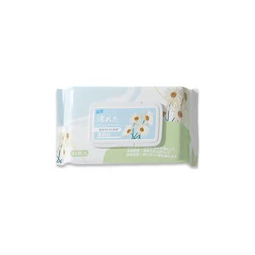 【化学“0”添加 分解更健康】40抽便捷携带如厕纸湿厕纸湿巾私处护理洁阴湿巾成人卫生湿巾纸 商品图4