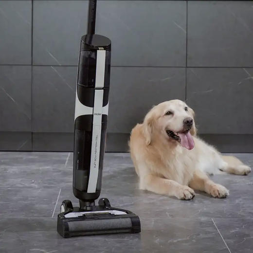 海尔（Haier）洗地机 Z6-W 虎鲸 商品图9