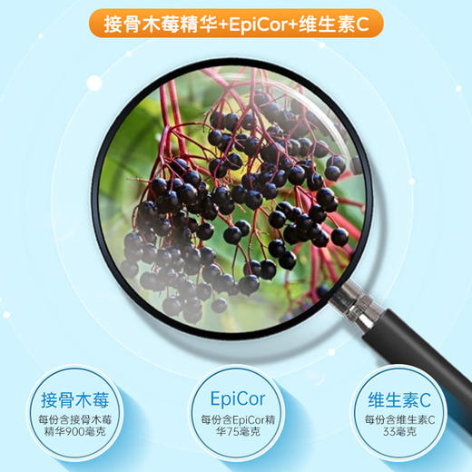 Dsorb滴适宝接骨木营养补充婴幼儿童宝宝婴儿接骨木感冒液维生素C发新包装【72小时发货】 商品图2