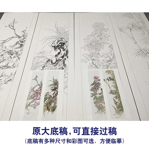 【四条屏】陈军工笔花鸟画白描底稿竹子临摹勾线花鸟线稿CJ69 商品图1