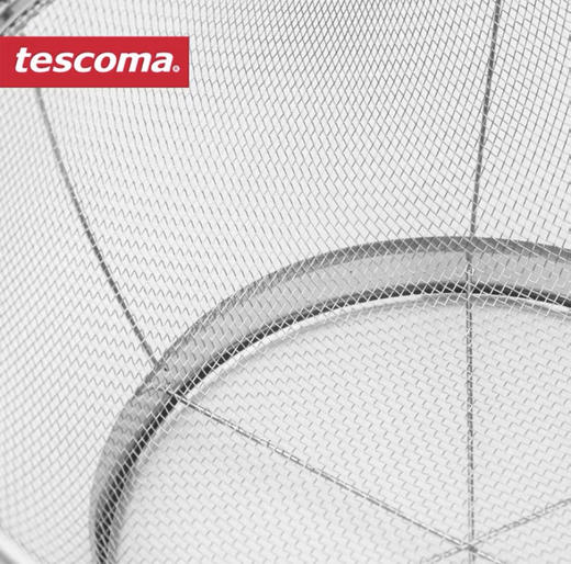 5F司顿国际生活馆  tescoma滤水篮30cm 商品图2