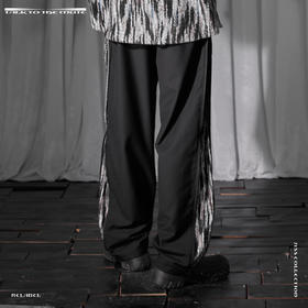 RELABEL 21SS定织未来感条纹毛料定制双头长拉链拼接宽松西裤