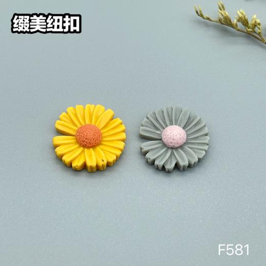 F581(整包购买) 商品图4